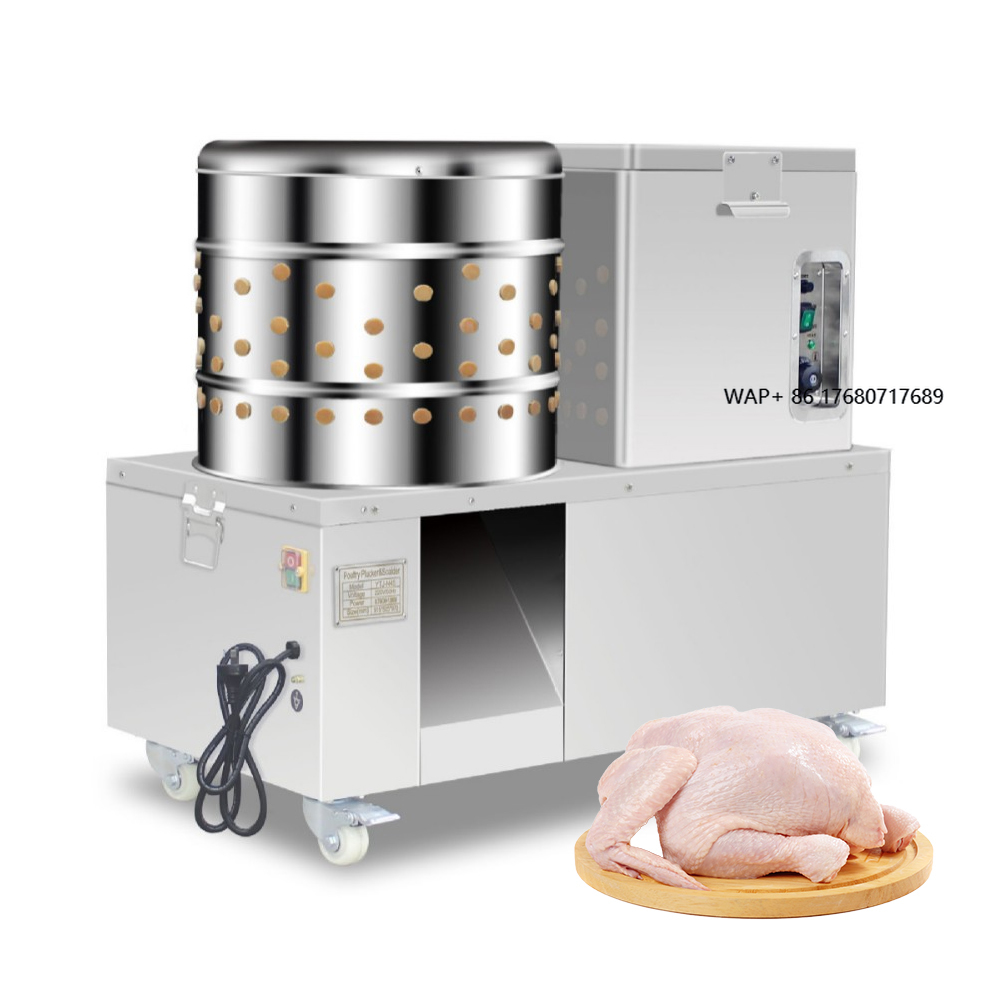 Chicken Plucker Machine - Plumeuse Électrique Automatique à Prix Abordable