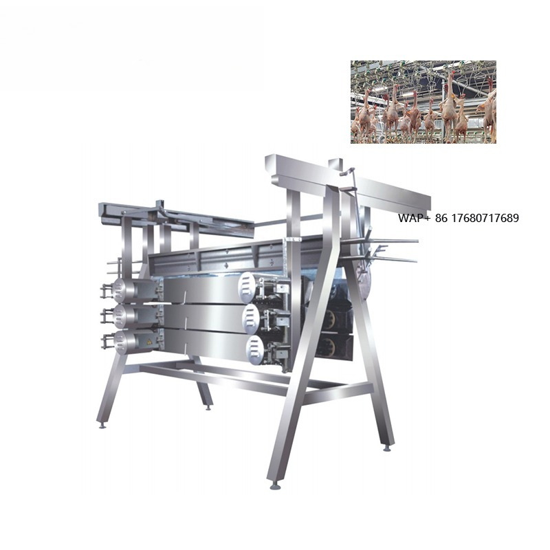 Chicken Plucker Machine - Machine à plumer les poulets, équipement