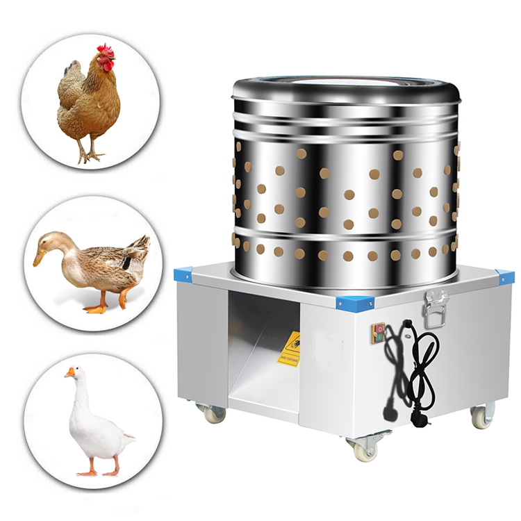 Plumeuse à poulet commerciale  - Chicken Plucker Machine avis et prix