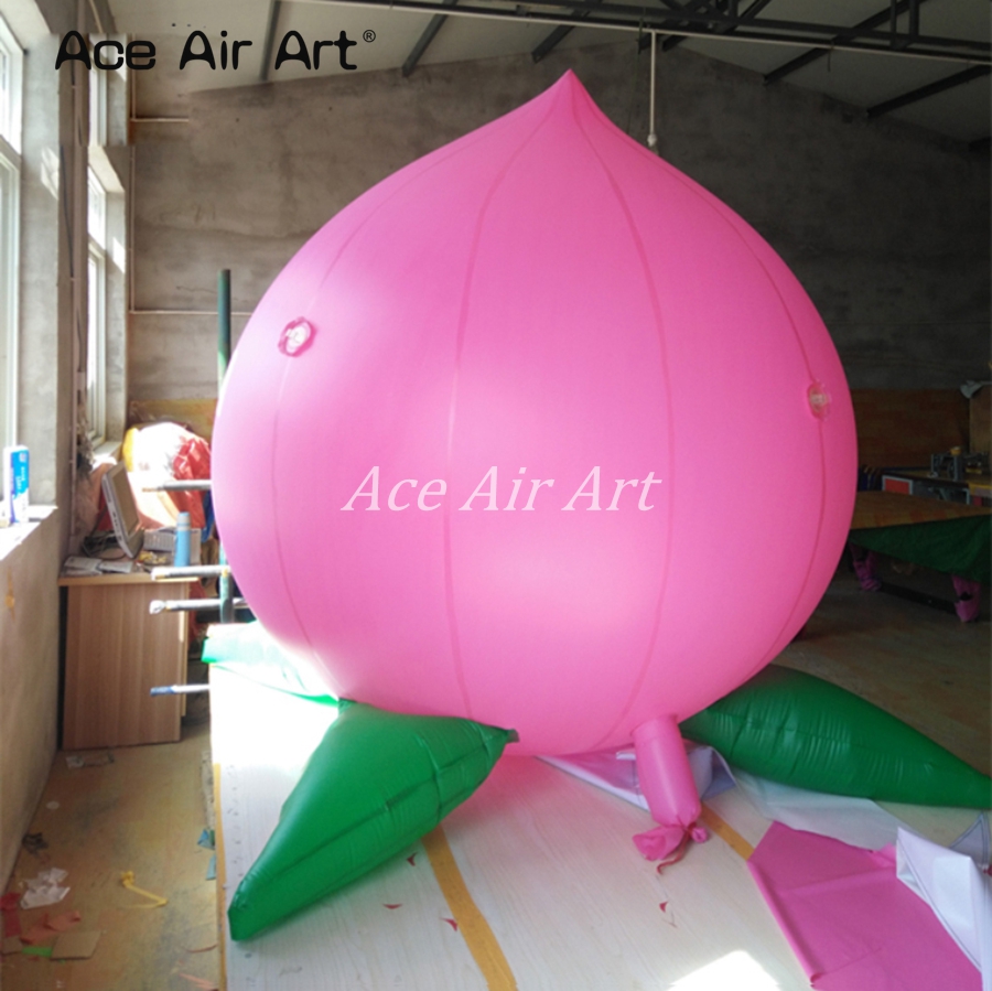 Réplique géante gonflable de p - Agriculture Farming School avis et prix