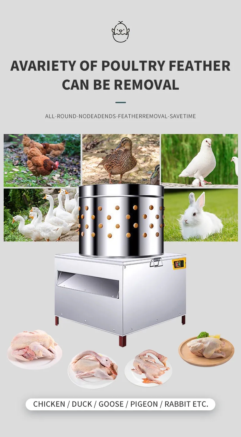 Machine à plumer les poulets H - Chicken Plucker Machine avis et prix