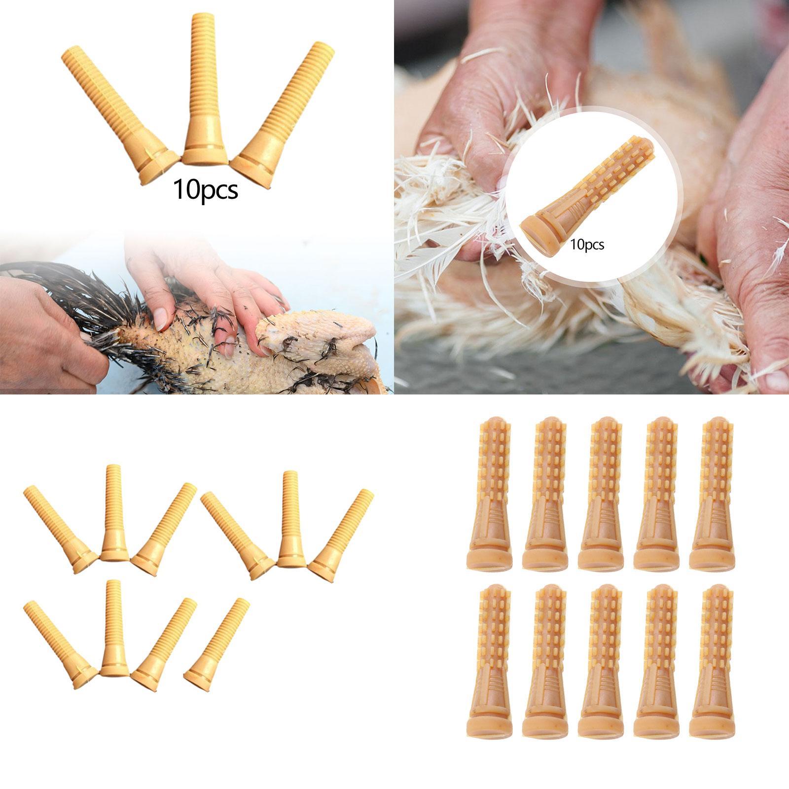 Pièces de rechange pour machin - Chicken Plucker Machine avis et prix
