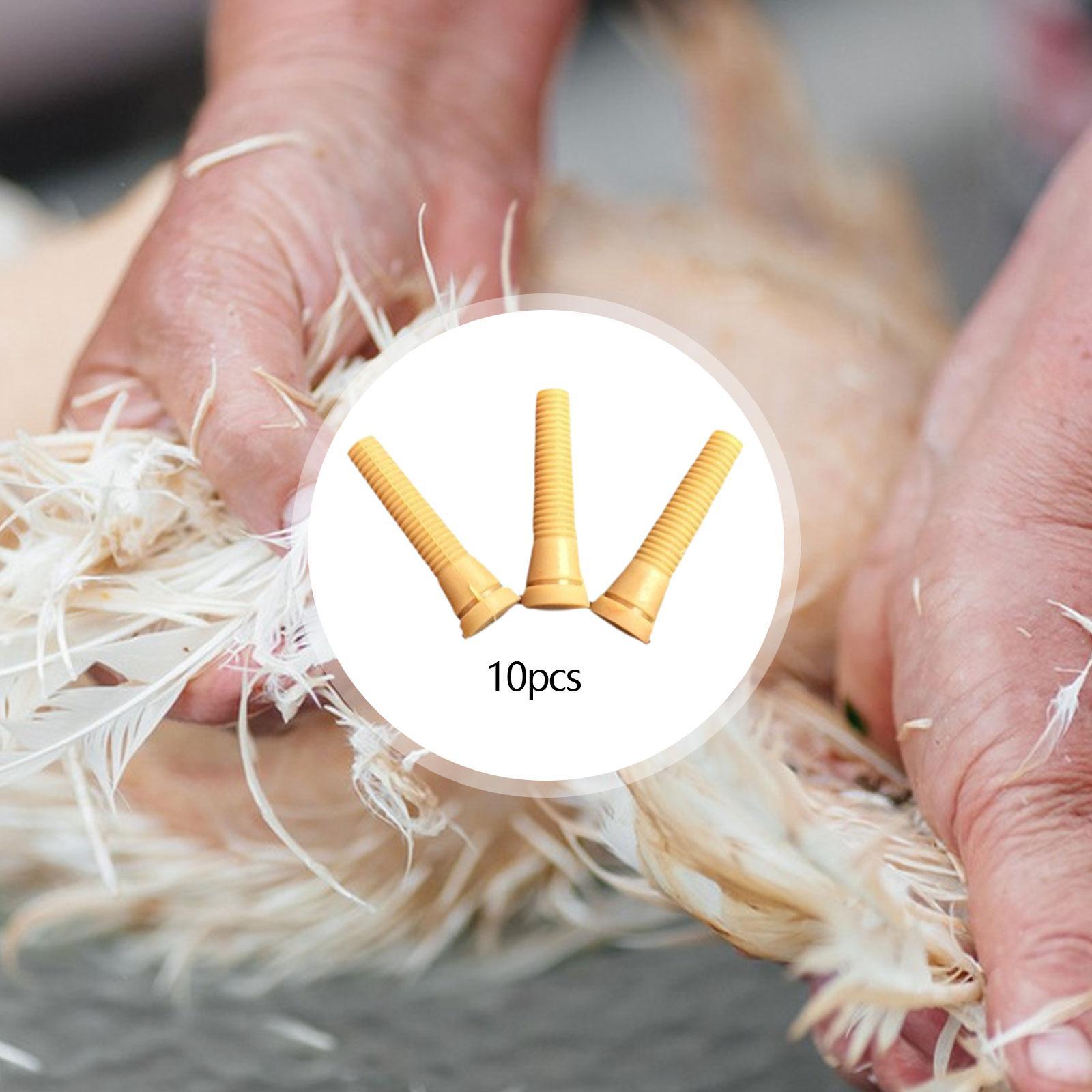 Pièces de rechange pour machin - Chicken Plucker Machine avis et prix