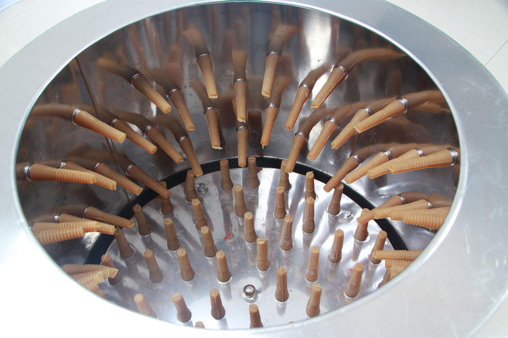 Équipement essentiel pour l'ab - Chicken Plucker Machine avis et prix