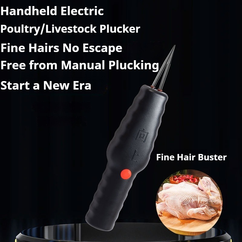 Plumeuse Électrique Portable E - Chicken Plucker Machine avis et prix