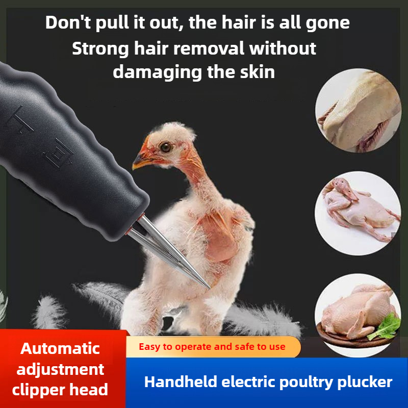 Plumeuse de poulet électrique  - Chicken Plucker Machine avis et prix