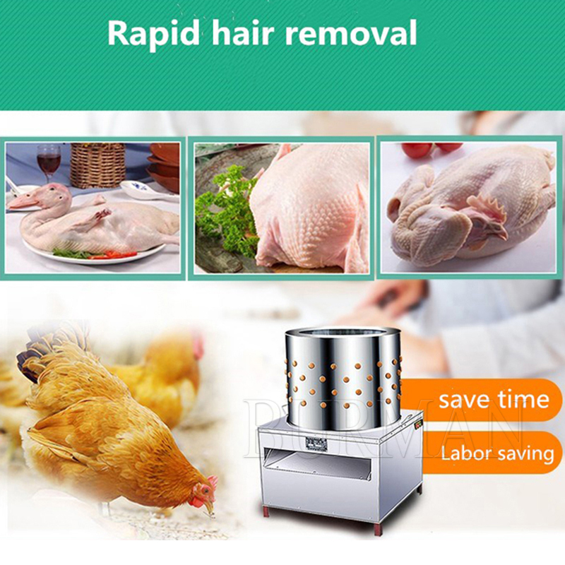 Nouvelle Machine d'épilation d - Chicken Plucker Machine avis et prix