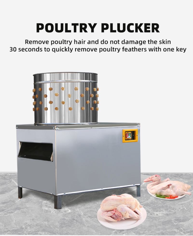Machine d'abattage de volaille - Chicken Plucker Machine avis et prix
