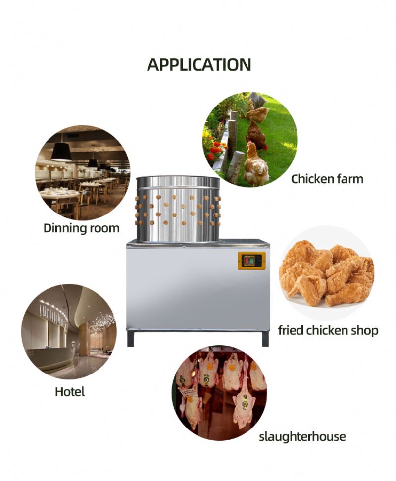 Machine d'abattage de volaille - Chicken Plucker Machine avis et prix